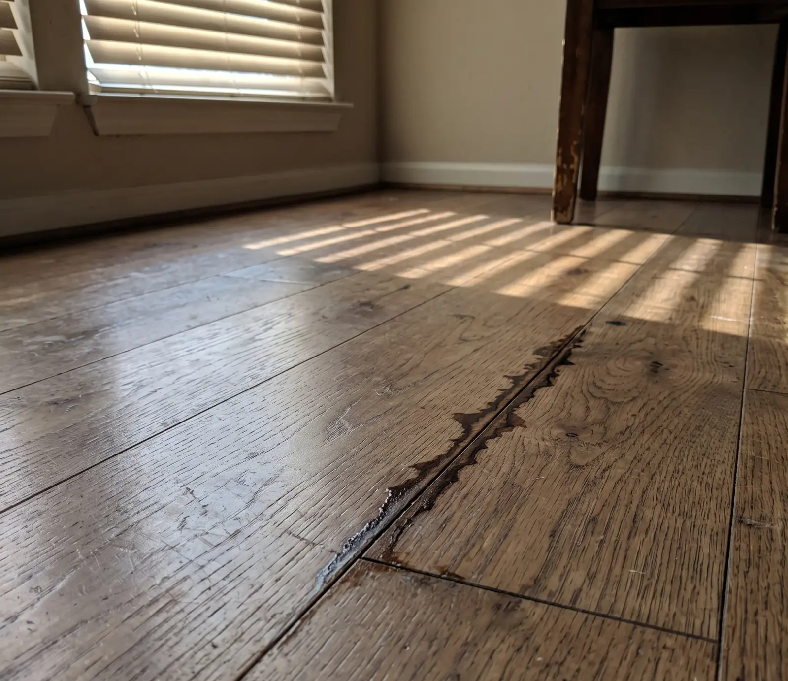 Hardwood Floor Water Extraction service in Carmel, IN